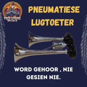 Pneumatiese lugtoeter